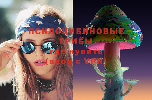 гидра Армянск