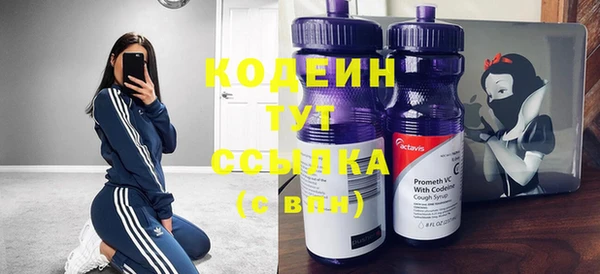 ГАЛЛЮЦИНОГЕННЫЕ ГРИБЫ Аркадак
