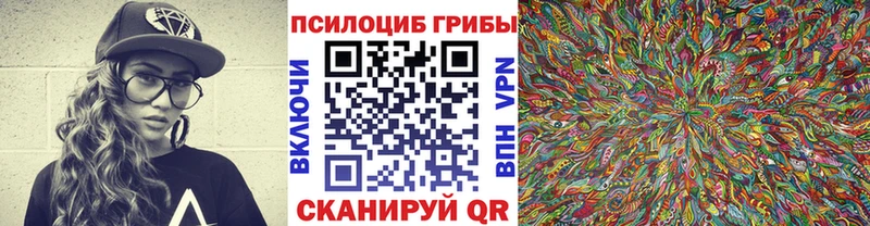 Псилоцибиновые грибы MAGIC MUSHROOMS  закладка  Абакан 