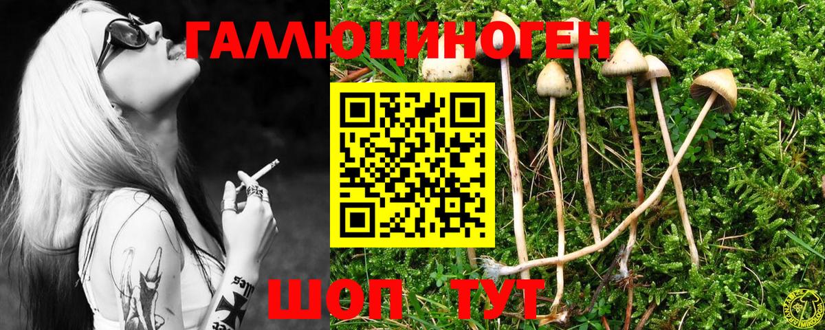 Галлюциногенные грибы мицелий Абакан